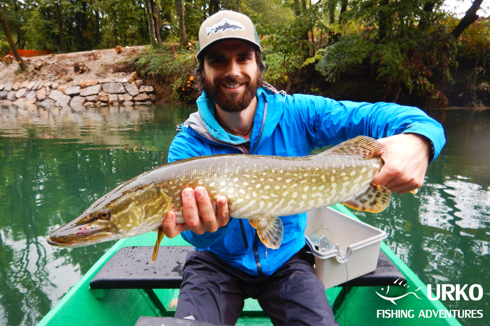 Urko Fishing Adventures Angling Service Fly Fishing Ljubljanica River Pike on Fly Slovenia