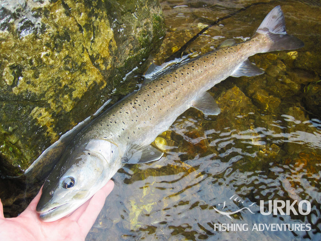 Urko Fishing Adventures Angling Service Fly Fishing Slovenia