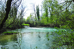 Urko Fishing Adventures FlyFishing Slovenia River Bistra River Ljubija